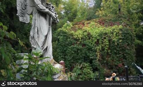 Vintage statue of winged angel at the graveyard in old cemetery against green trees and plants background