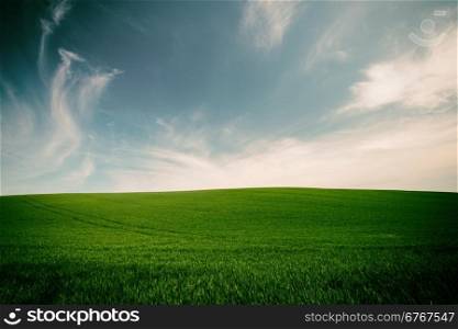 Vintage style image of green grass and blue sky background