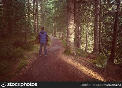 Vintage style image of man standing at the forest path