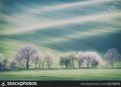 Vintage style image of rolling hills, trees and green grass fields