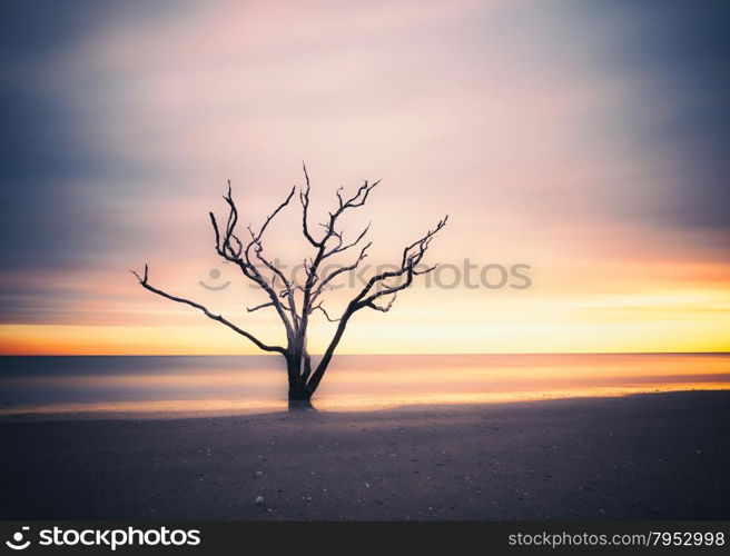 Vintage style photo of Botany Bay beach, Edisto Island, South Carolina, USA