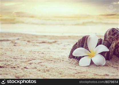 Vintage style photo of white plumeria on beach over sea wave and sky background