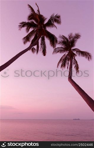 Vintage stylized palm trees on tropical beach at twilight