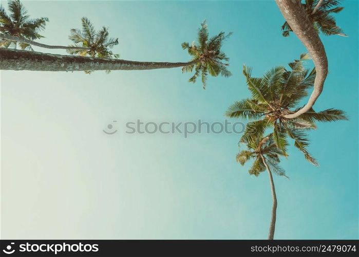 Vintage toned curly palm trees and blue sky frame composition with copy-space