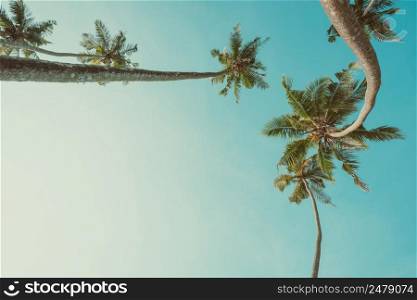 Vintage toned curly palm trees and blue sky frame composition with copy-space