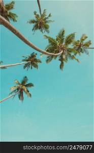Vintage toned curly palm trees and blue sky frame vertical composition with copy-space