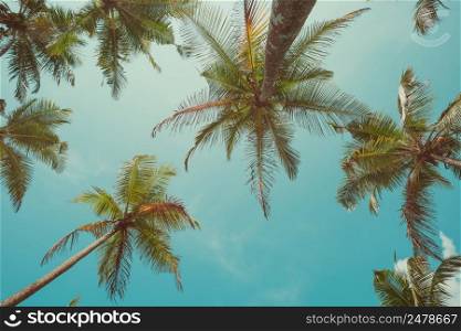 Vintage toned palm trees