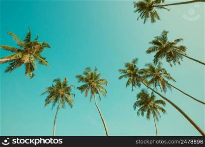Vintage toned palm trees and blue sky frame composition with copy space