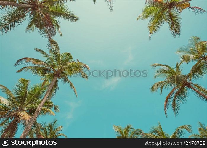 Vintage toned palm trees leafs over sky background with sky as copy space