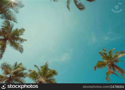 Vintage toned palm trees over sky background with copy space