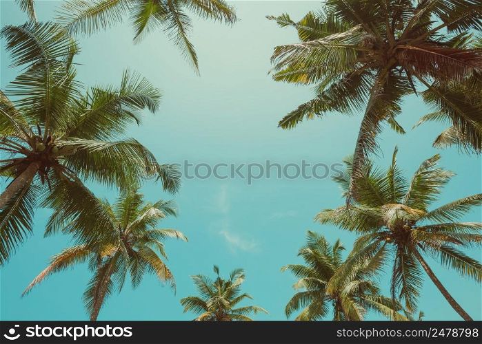 Vintage toned palm trees over sky background with copy space in center of leaf frame