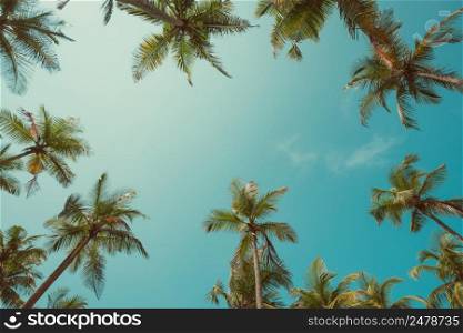 Vintage toned palm trees over sky background with copy space sky in center of leaf frame