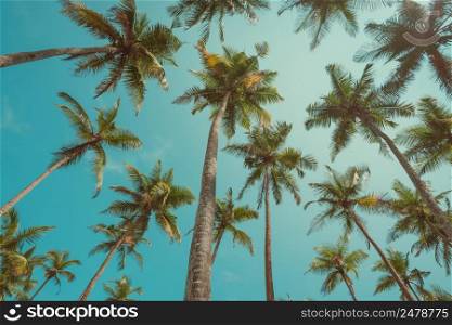 Vintage toned palms over blue sky background photo from ground up to sky
