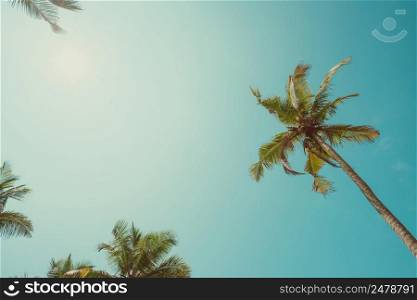 Vintage toned palms with emty clear sky as copy space