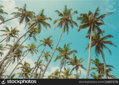 Vintage toned tropical cocnut palm trees over sky background