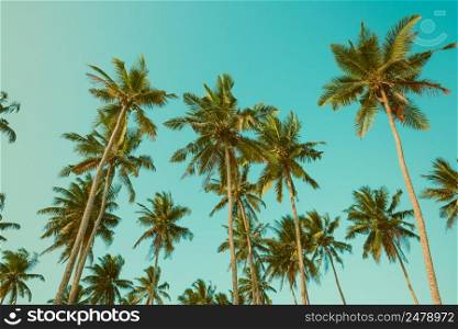 Vintage toned tropical palm trees over clear sky