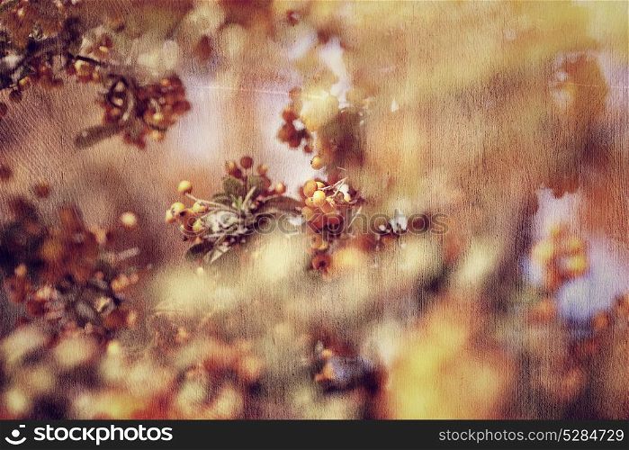Vintage tree background, rowan berry fruit, beautiful grunge style photo, beauty of autumn nature, selective focus
