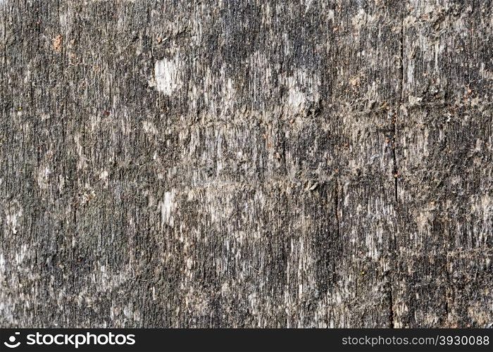 Vintage wood texture. Abstract background, empty template