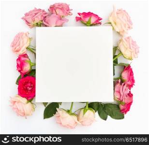 Violet and pink blooming roses. Violet and pink blooming fresh rose flowers, copy space copy space on paper note