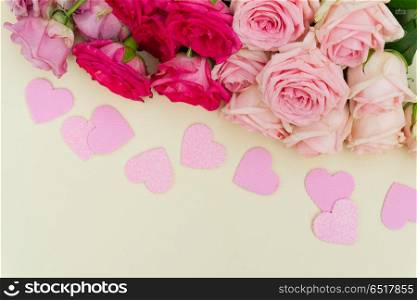 Violet and pink blooming roses. Violet and pink blooming fresh rose flowers with hearts