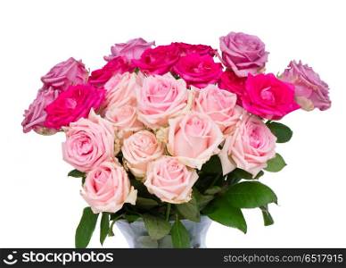 Violet blooming roses. Bunch of pink and violet blooming fresh rose flowers border isolated on white background