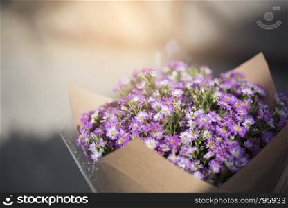 Violet flower bouquet with sunlight.