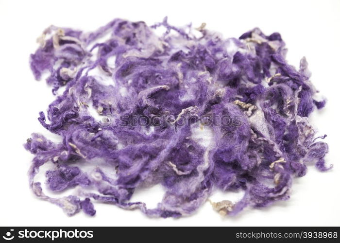 Violet piece of Australian sheep wool Merino breed close-up on a white background. Violet piece of Australian sheep wool Merino breed close-up on a white background.