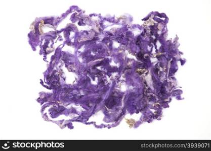 Violet piece of Australian sheep wool Merino breed close-up on a white background. Violet piece of Australian sheep wool Merino breed close-up on a white background.