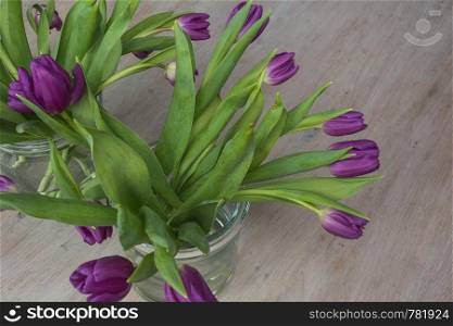 Violet tullips on a wooden background. Spring holidays, women day, valentines day. colorfull. Violet tullips on a wooden background. Spring holidays, women day, valentines day.