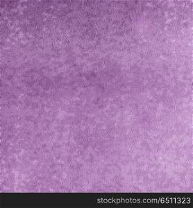 Violet wall image background. Violet wall. Detailed close-up photo image background. Violet wall image background