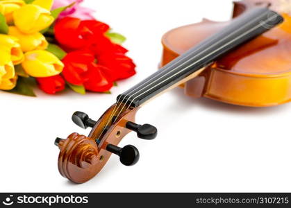 Violin and tulip flowers on white