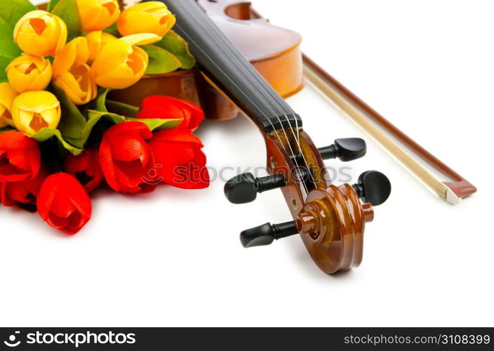 Violin and tulip flowers on white