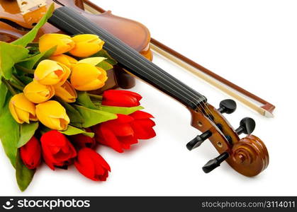 Violin and tulip flowers on white