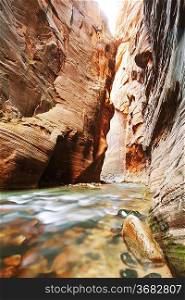 Virgin River Narrows in Zion National Park, Utah, USA