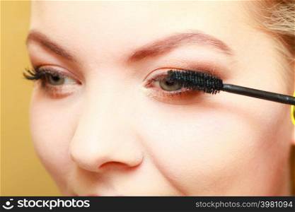 Visage concept. Close up woman getting make up on eyelashes. Applying mascara with brush.. Close up woman getting make up, mascara