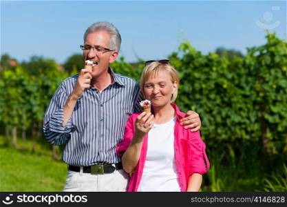 Visibly happy mature or senior couple outdoors having a walk and eating ice cream