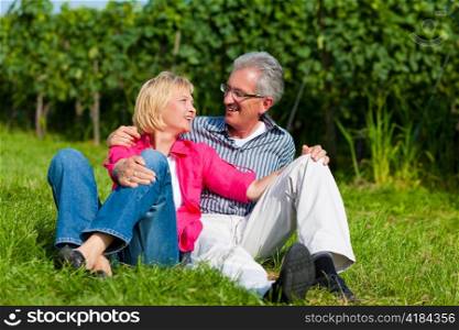 Visibly happy mature or senior couple outdoors in summer