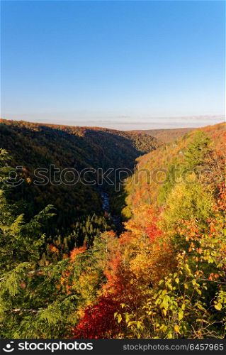 Vista of Lindy Point in Blackwater Falls State Park in the fall