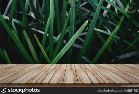 Visual layout template for montage products display wooden board perspective with green leaves background