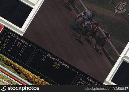Visual screen in a horse racing stadium