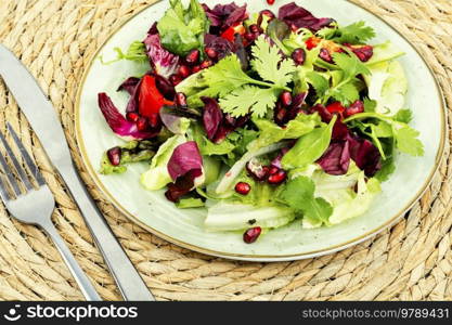 Vitamin salad with greens, pepper, radicchio and cucumber, decorated with pomegranate. Diet menu. Fresh bright vegetable salad.