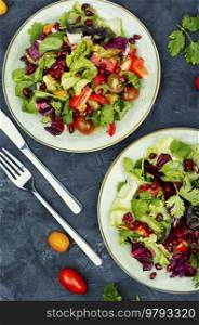 Vitamin salad with greens, pepper, red lettuce and cucumber, decorated with pomegranate.. Salad of fresh vegetables and lettuce.