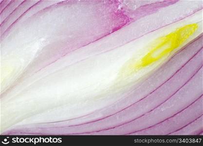 vitamin split violet onion bulb macro background
