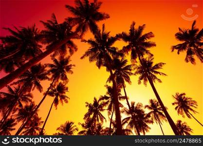 Vivid beach sunset with tropical palms trees silhouettes and shining sun