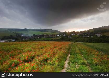 Vivid color red poopy field landscape under stormy sky