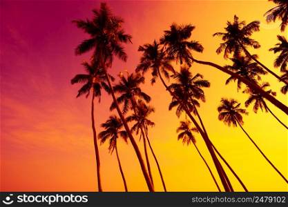 Vivid tropical beach sunset with palm trees silhouettes