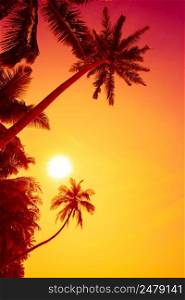 Vivid tropical sunset
