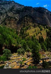 Vivid vibrant vertical mountain village landscape