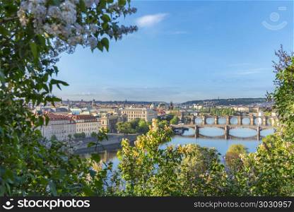 Vltava river with its bridges and Prague City. Beautiful cityscape with the old town of Prague City, the Vltava river and its many bridges, framed by tree branches and flowers, on a sunny day.