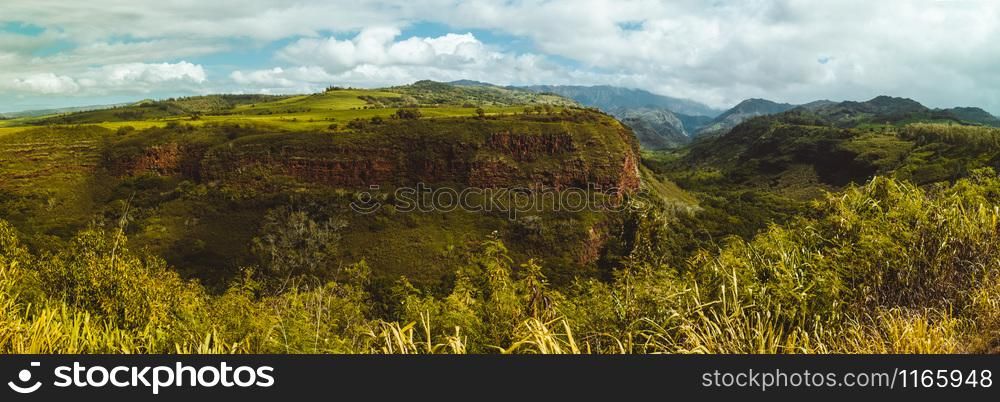 Volcanic is one of the most fertile kinds of ground, producing this green scenes. Spectacular green canyon view in Hawaii, US